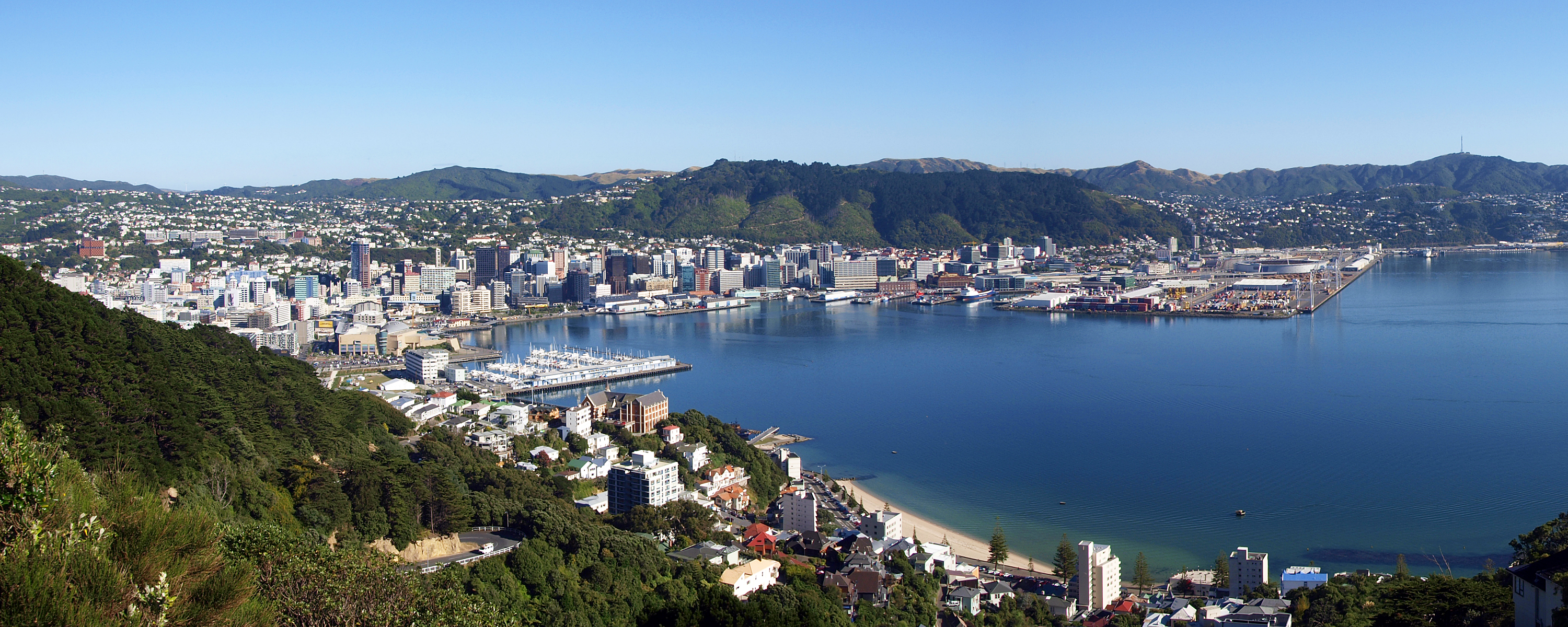 Wellington city and harbour viewed from Oriental Bay